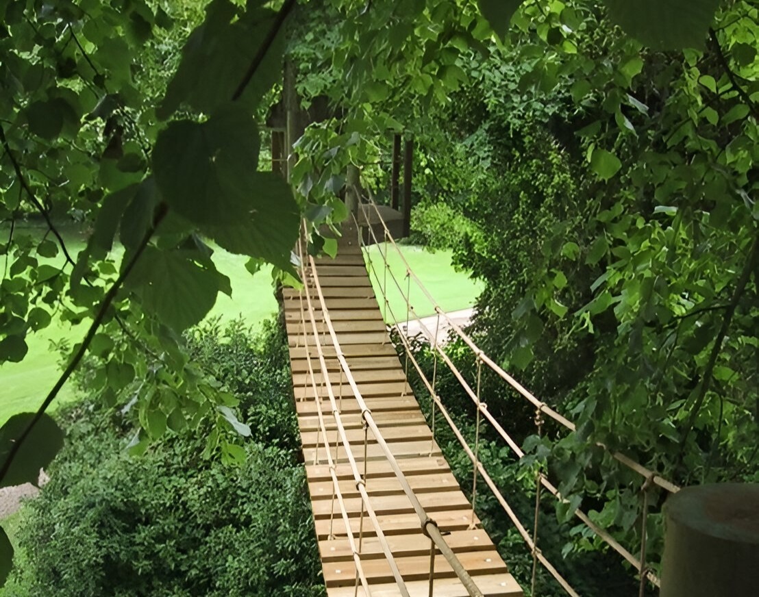 Tree Bridge