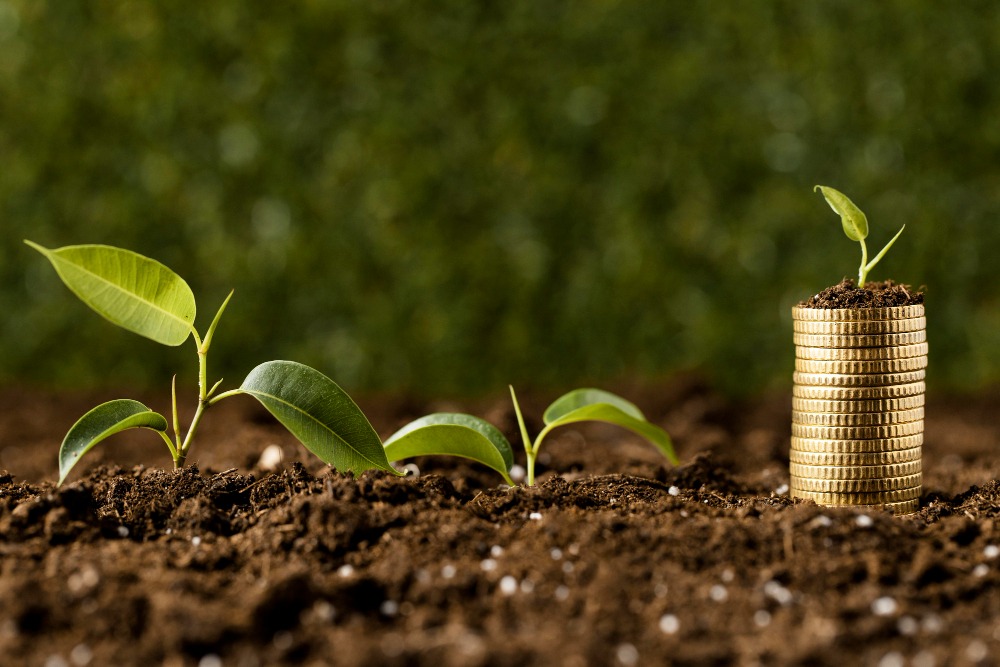 SM Golden Trees Agro LLP