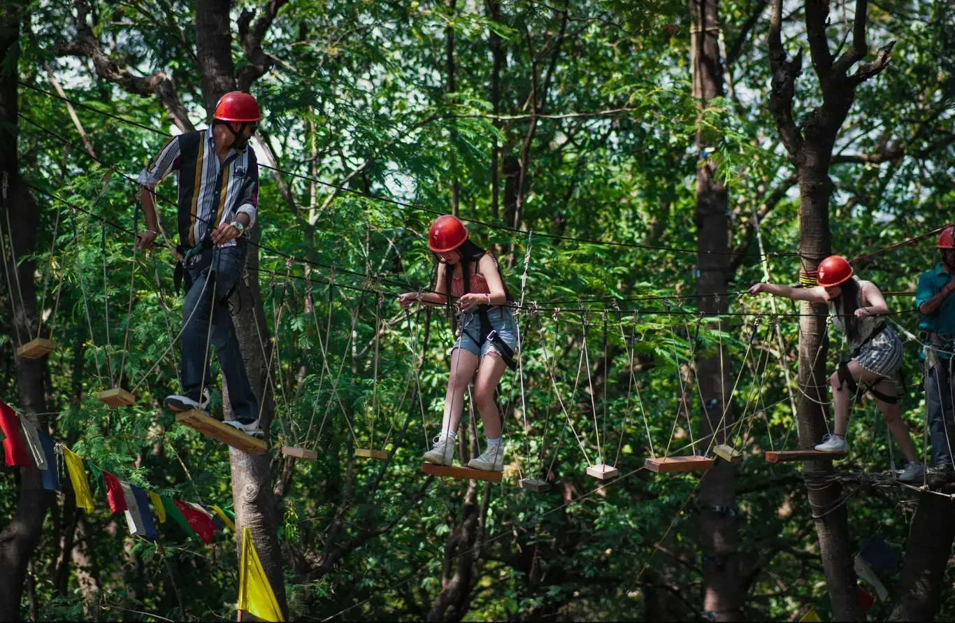 Jungle Adventure Action