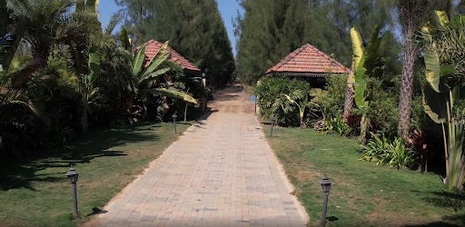 Agricultural land in Maharashtra